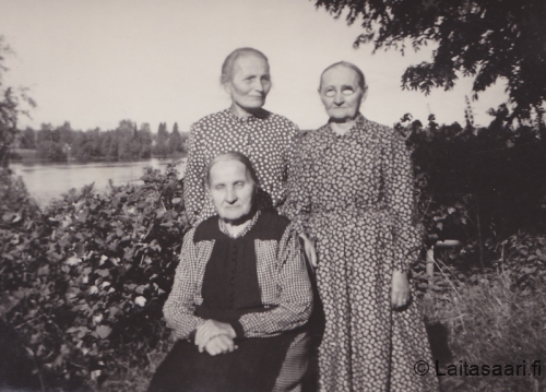 Siskokset 1950