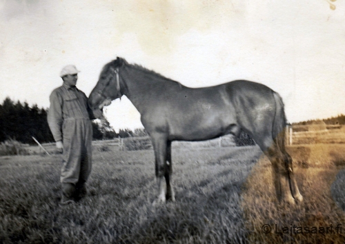 Väänäsen isäntä ja Pili-hevonen