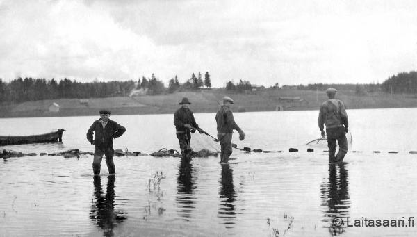 Lohta nuotalla Oulujoella 1929