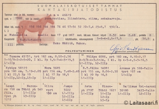 Kantakirja-Pimu (1967)