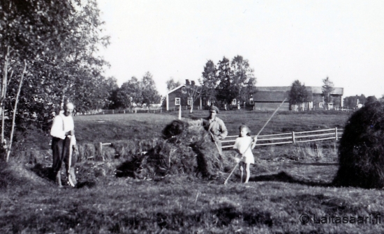 Pihaheinäntekoa, taustalla Rönkön talot