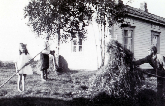 Heinäntekoa Monolassa