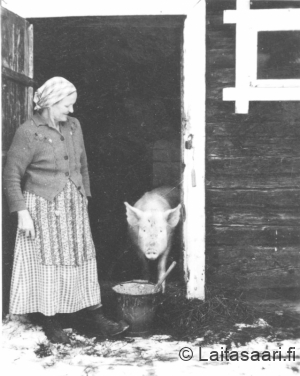 Pappilan apulainen Anni Kolari ja Tsika-niminen sika