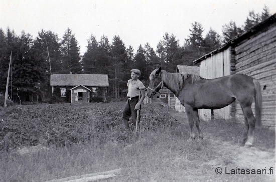 Kauppi-Lehtovaara