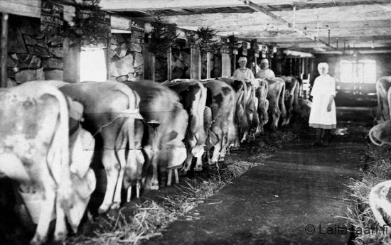 Muhoksen karjatalouskoulu