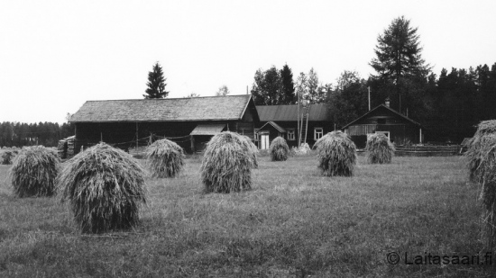 Sadonkorjuuta Tyllissä