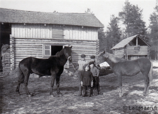 Holapan poikia ja hevosia