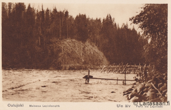 Leppiniemen maisemaa