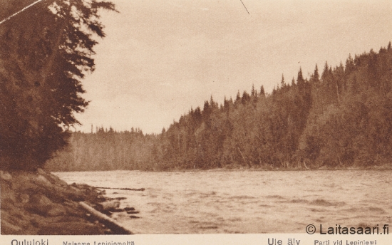 Leppiniemi