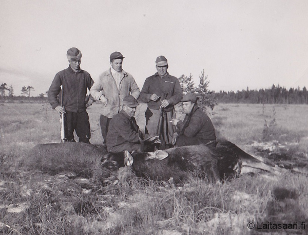 Laitasaaren Erätoverit